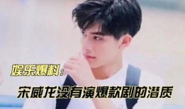 娱乐大爆料宋威龙,揭秘明星背后的故事